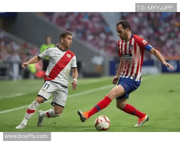 悉尼足球彩票对决惠灵顿精彩赛事分析与投注建议