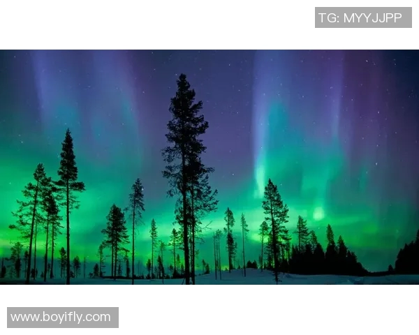 从零起步掌握排球心理素质技巧与策略的全面指南MBA 从零起步掌握排球心理素质技巧与策略的全面指南MBA