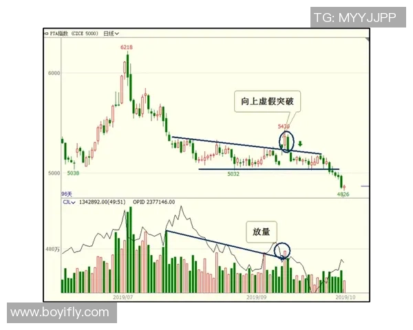 广州网球队技术表现分析与提升策略研究报告 广州网球队技术表现分析与提升策略研究报告