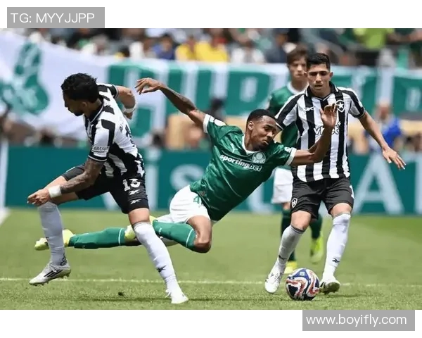 帕尔梅与克鲁塞激情对决新浪直播全程解析赛事精彩瞬间