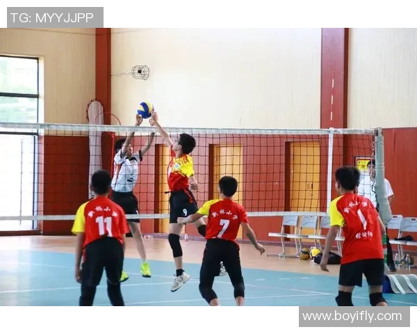 杨伟专访:从排球小将到国家队明星的成长历程与心路历程分享 杨伟专访:从排球小将到国家队明星的成长历程与心路历程分享