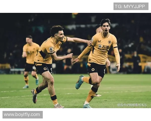 足彩分析狼队对哈德斯比赛前瞻及胜负预测详解